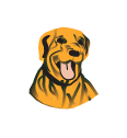 barden-ridgebacks-football-club